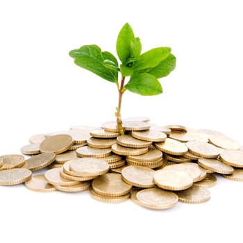 The Role of Knowledge in Starting a Business