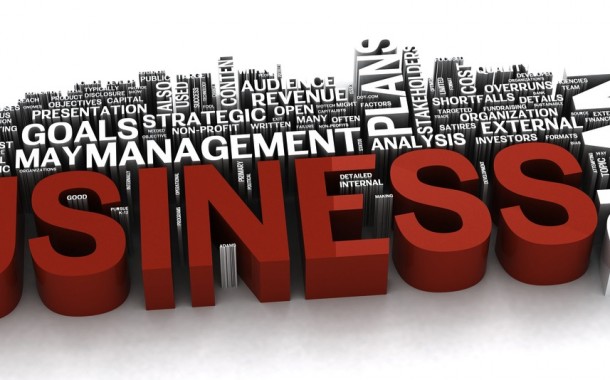 Business Plan Template for Dummies