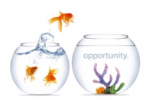 opportunity