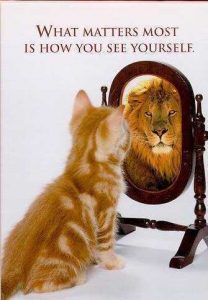 life-as-mirror-cat-sees-lion