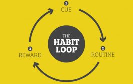 MAINTAINING CONSISTENCY IN PURSUIT OF LIFE’S GOALS-PART 3