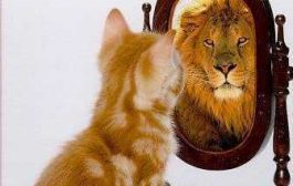MAINTAINING CONSISTENCY IN PURSUIT OF LIFE’S GOALS-PART 5