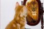 MAINTAINING CONSISTENCY IN PURSUIT OF LIFE’S GOALS-PART 5