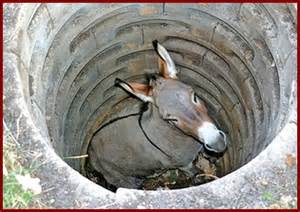 A donkey in a pit!